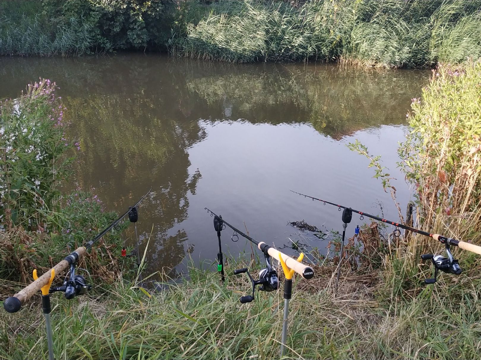 Angeln in Wangerland