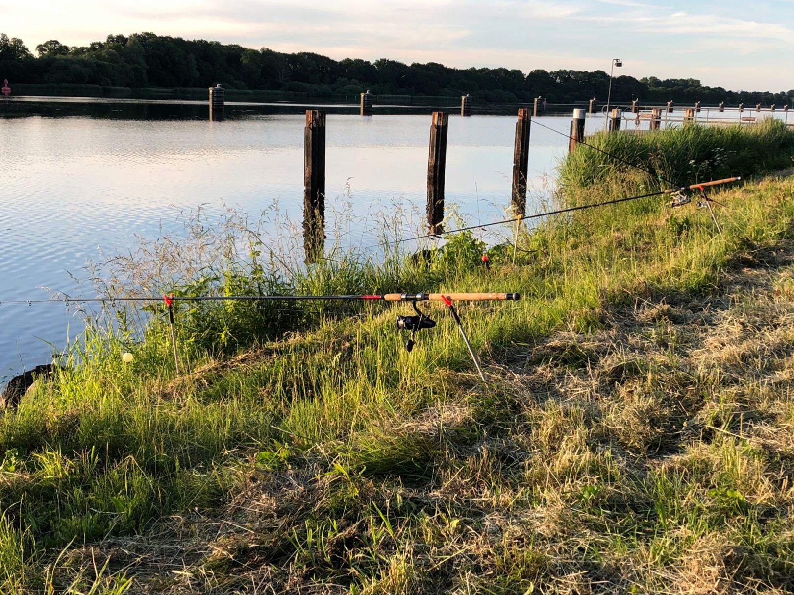 Nord-Ostsee-Kanal (Schirnauer See) angeln