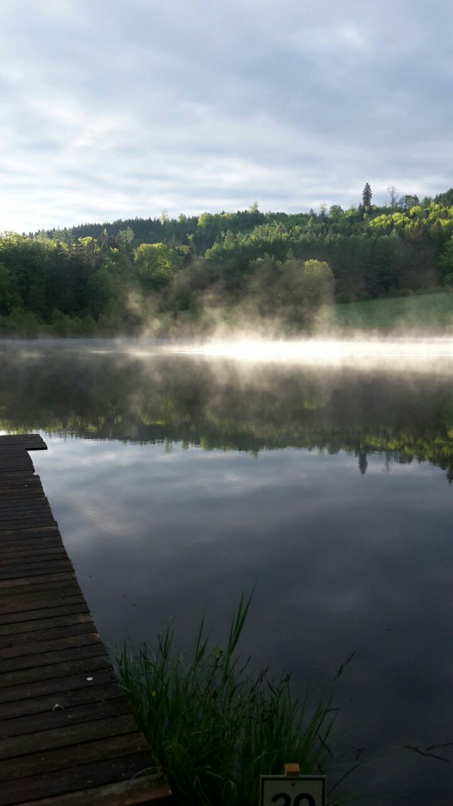 Waldweiher (Dietramszell) angeln