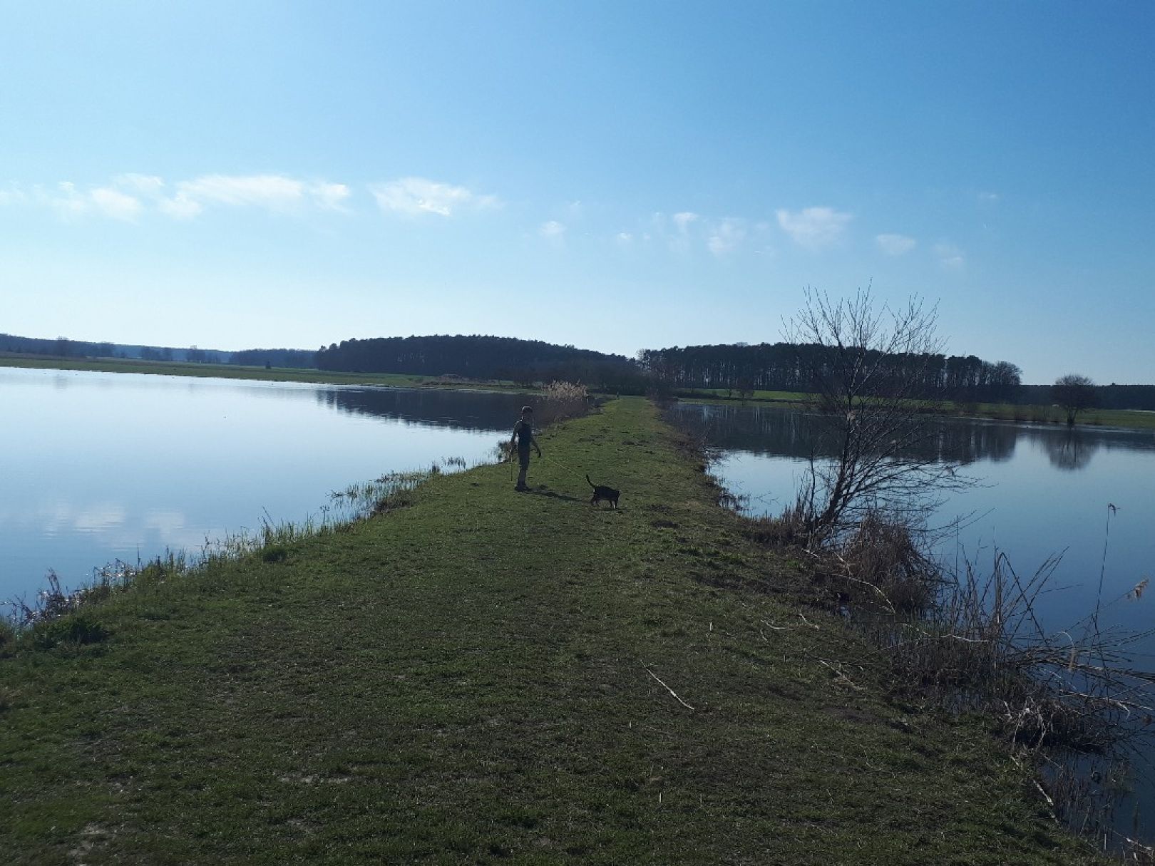 Angeln in Wilhelmsdorf