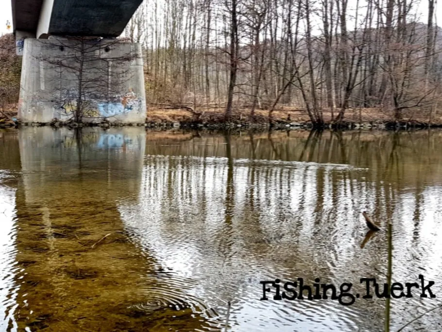 Amper (Fürstenfeldbruck) angeln