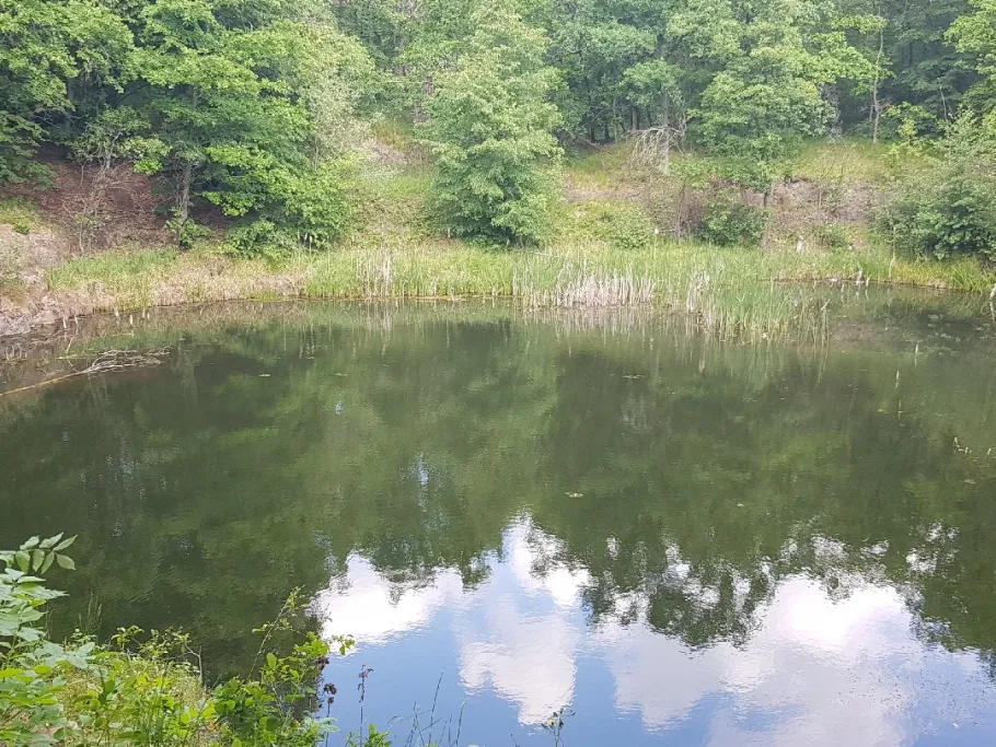 Steinbruch (Burgkemnitz) angeln