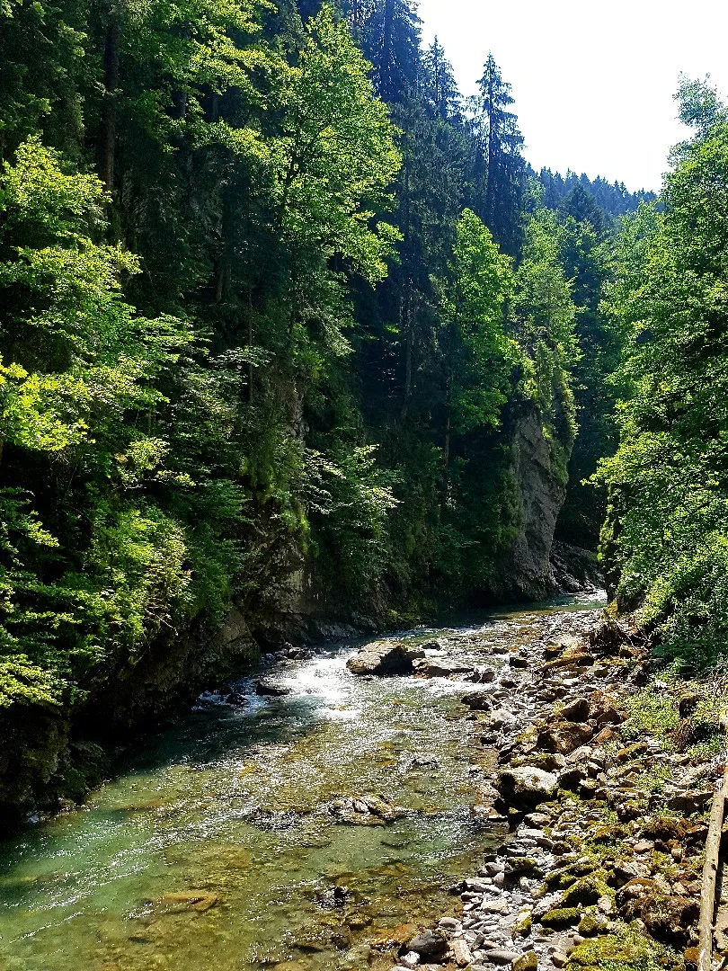 Breitach (Oberstdorf) angeln
