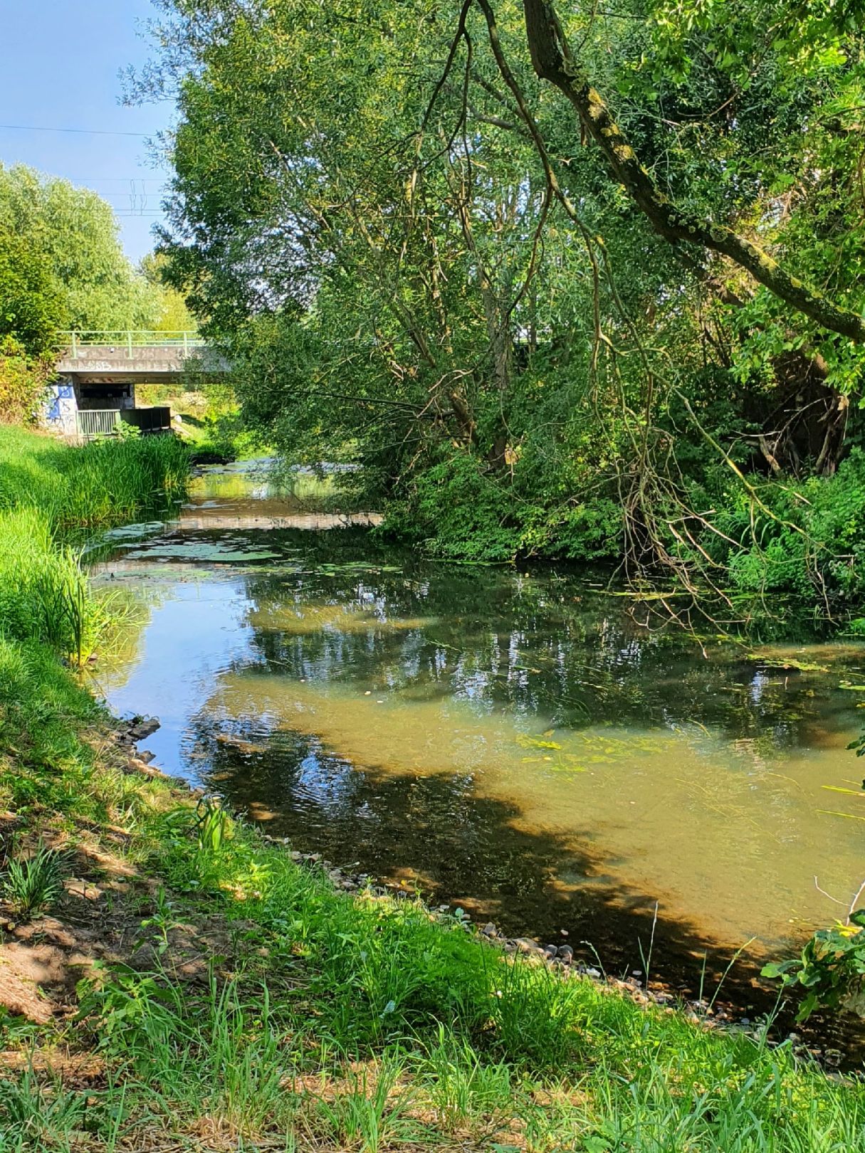 Angeln in Arendsee (Altmark)