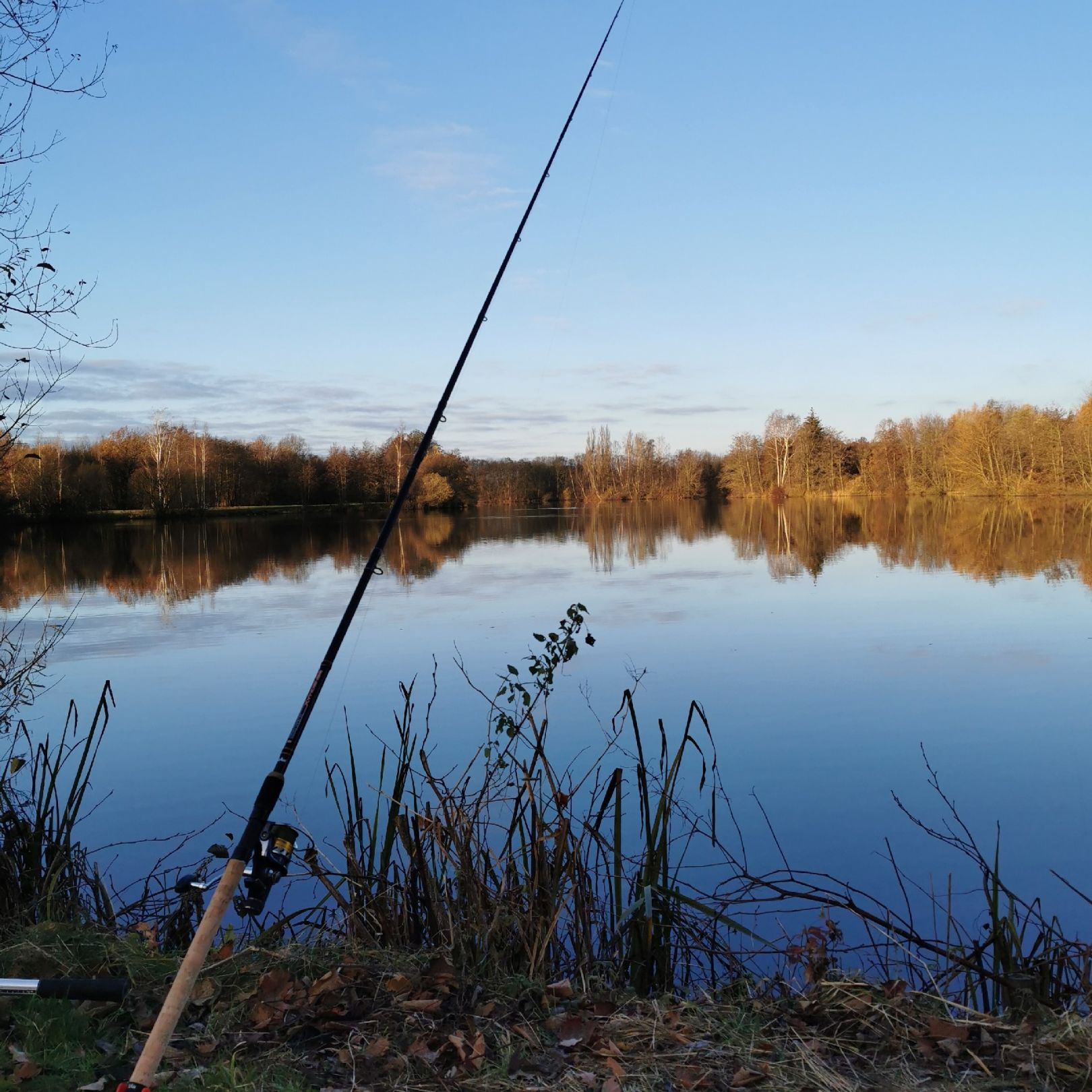 Oderpark-See (Hattorf) angeln