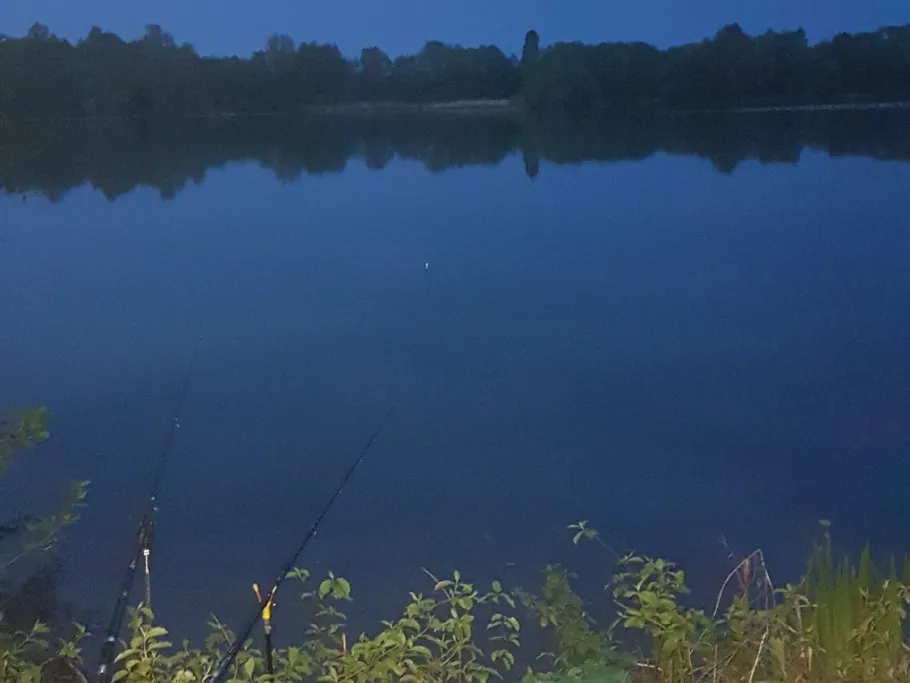 Kändler See (Friller See) angeln