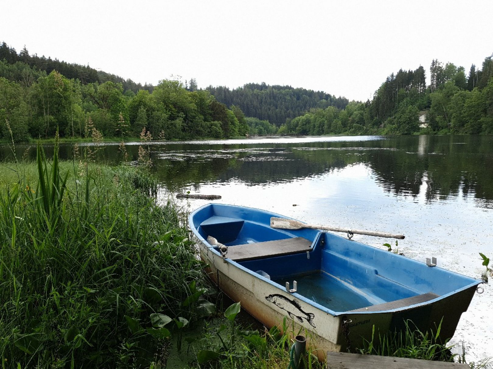 Angeln in Waldhäuserwald