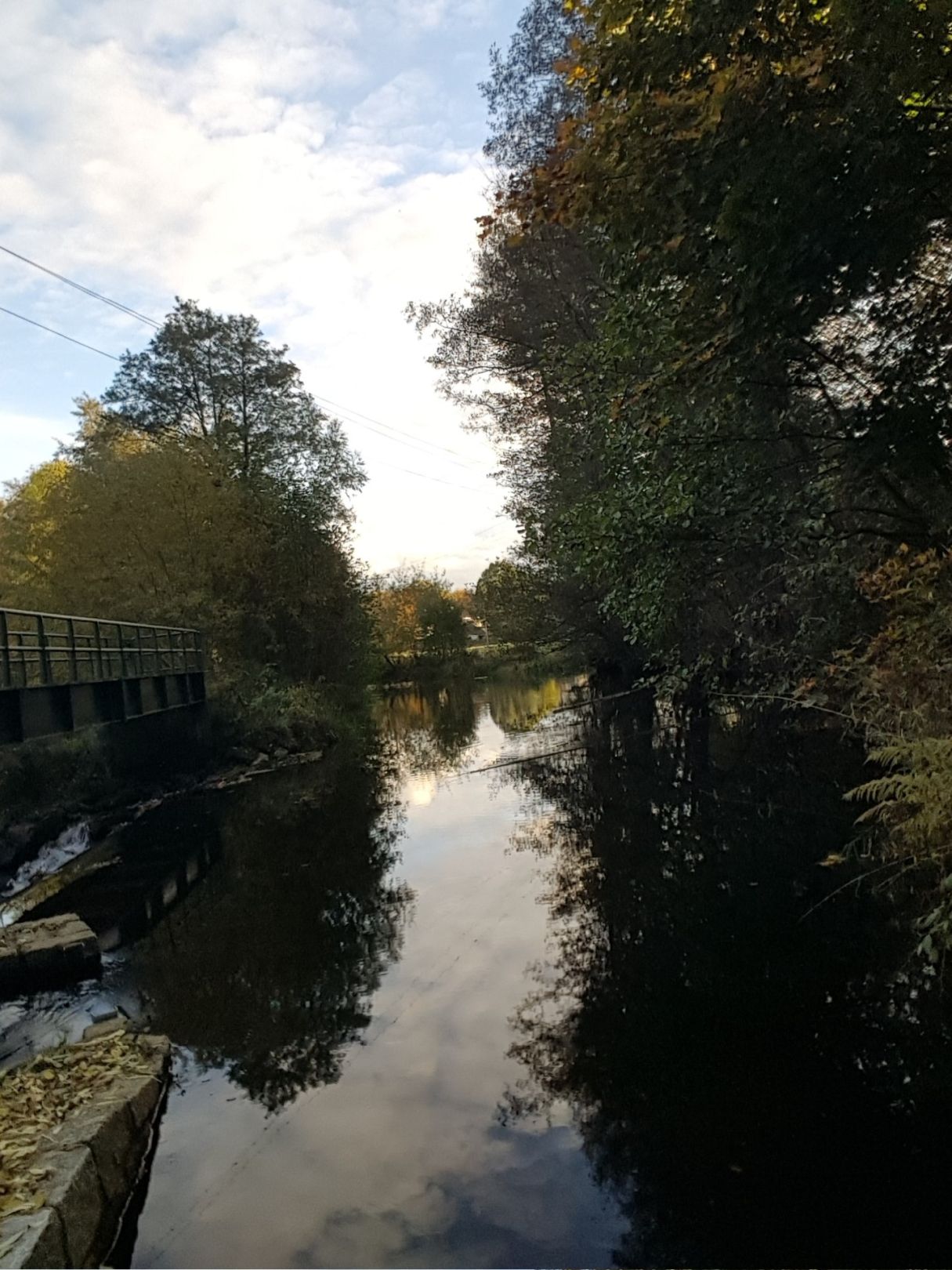 Freiberger Mulde (Lichtenberg/Erzgebirge) angeln