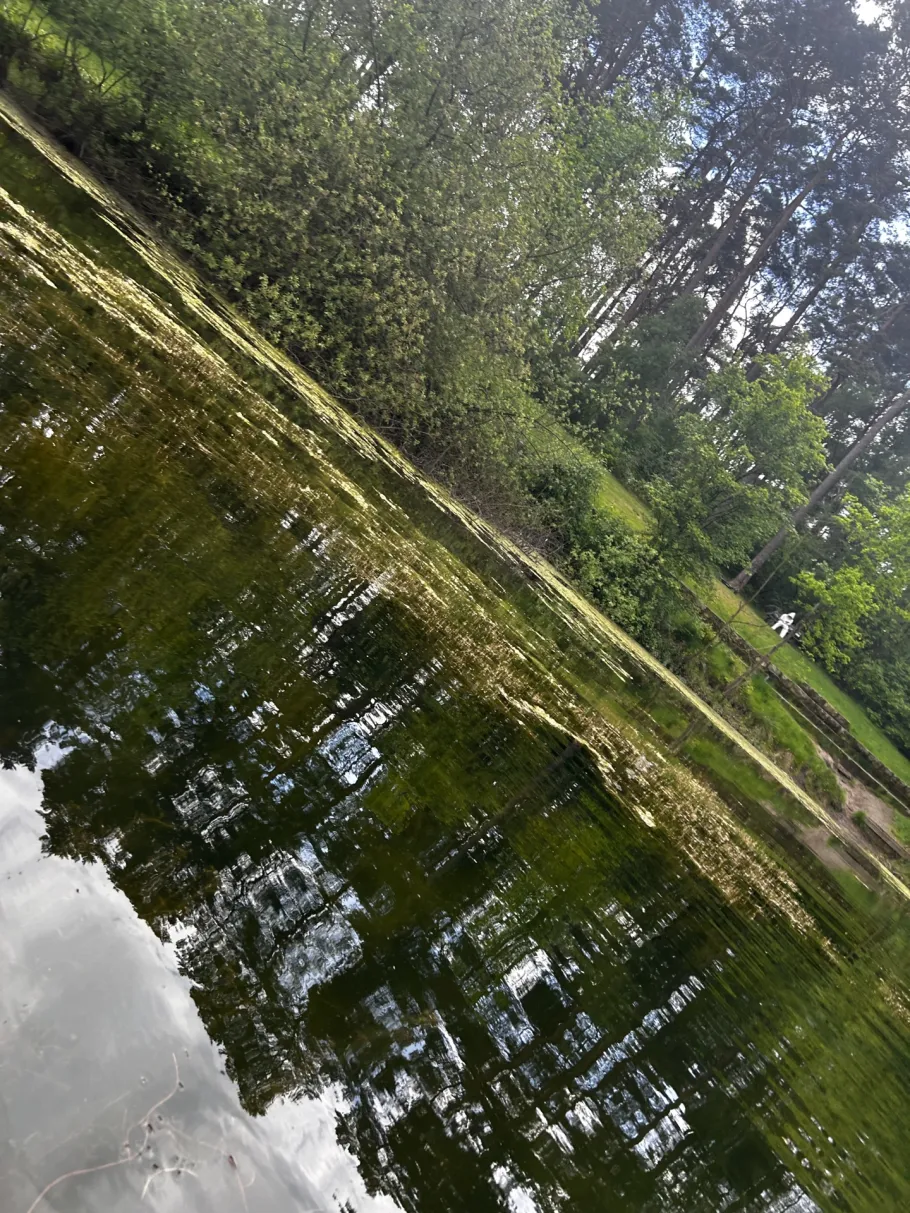 Klein Hehlener Teich angeln