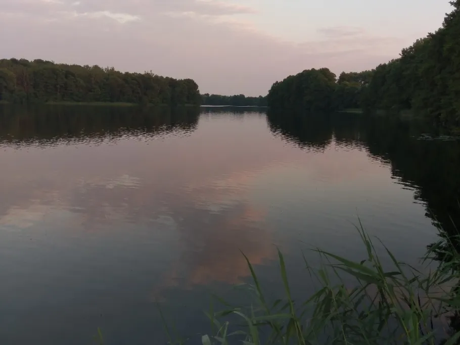 Kritzower See angeln