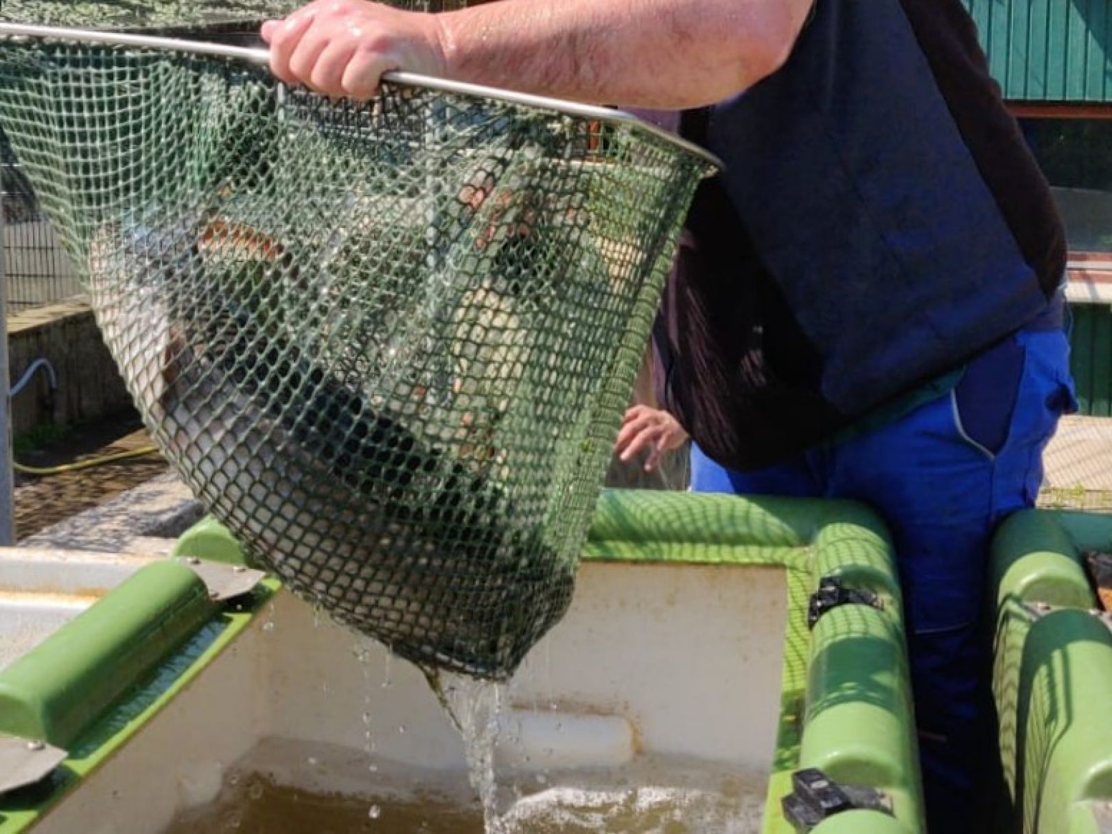 Garlstedter Fischzucht angeln