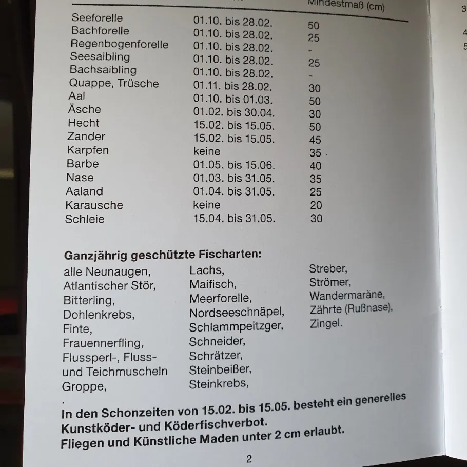 Neckar (Ladenburg) angeln