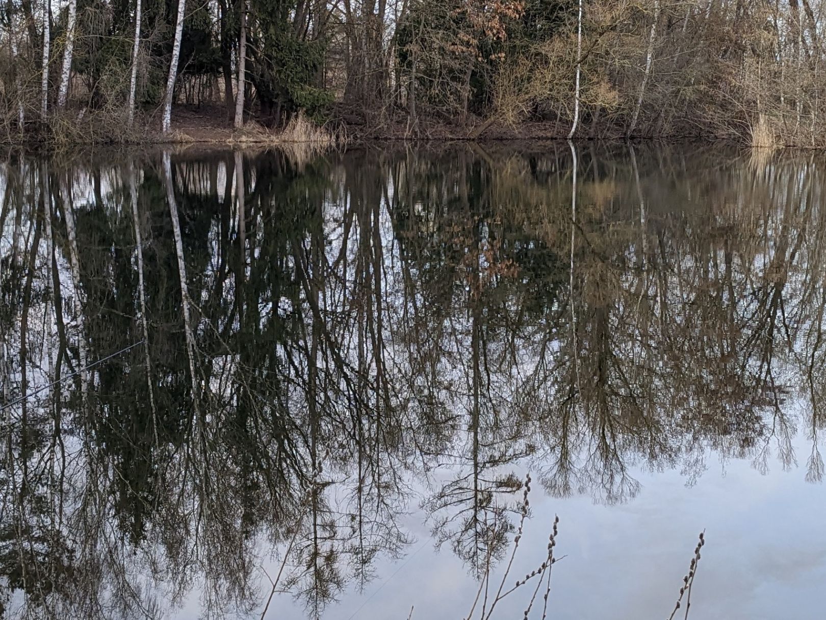 Inselweiher (Binswangen) angeln