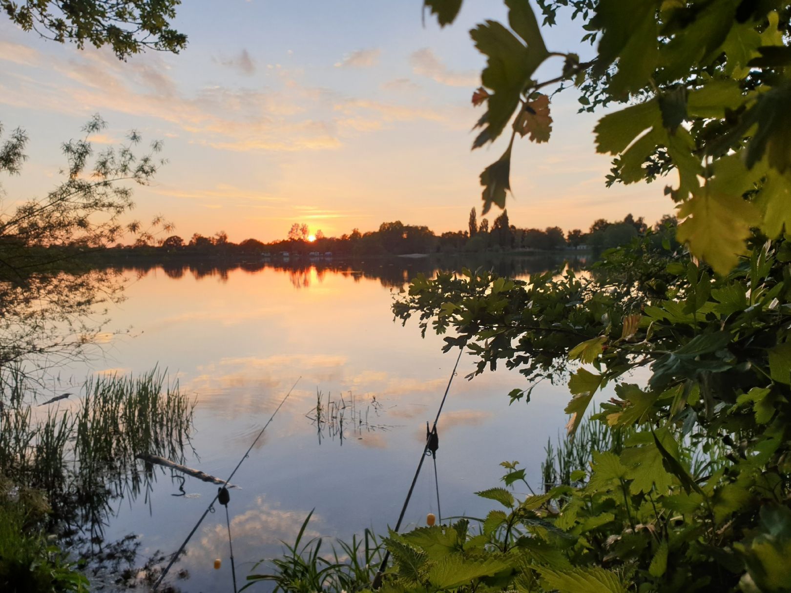 Radeburger Stausee angeln