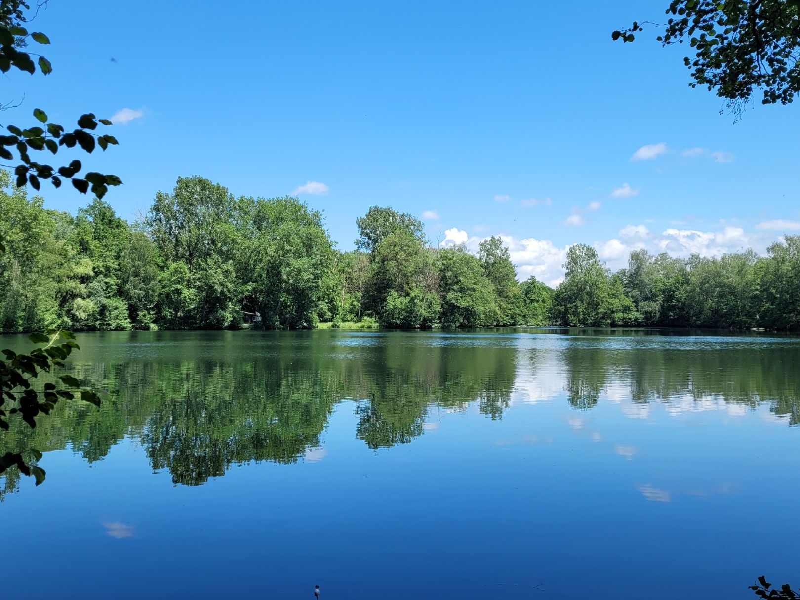 Waldsee Ernsgaden angeln