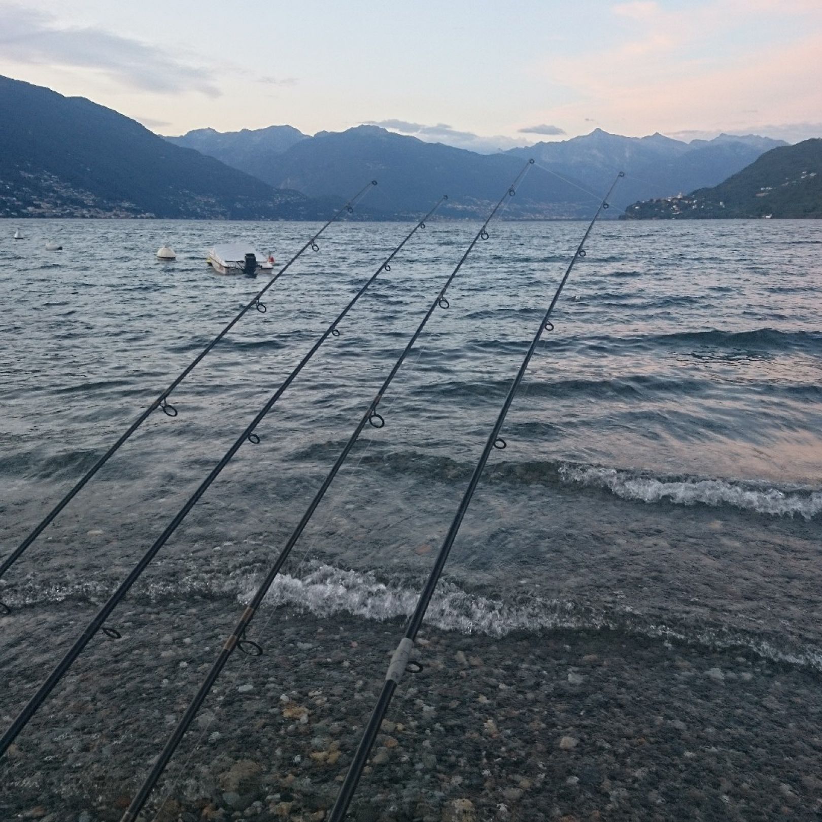 Lago Maggiore  angeln