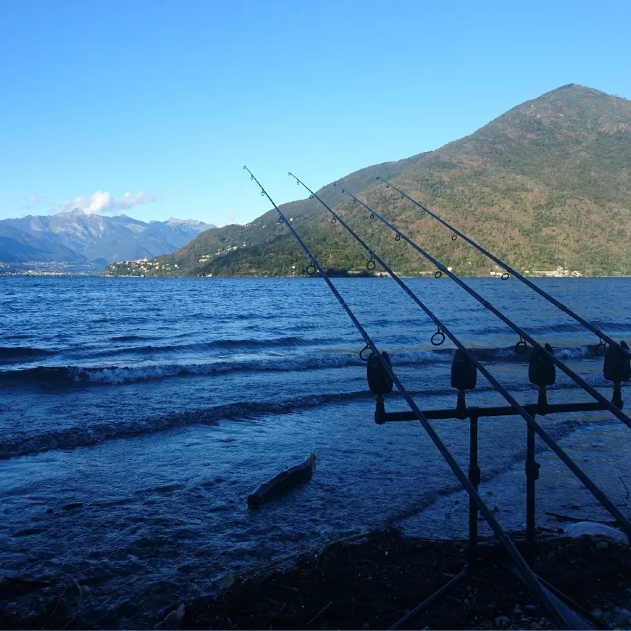 Lago Maggiore  angeln