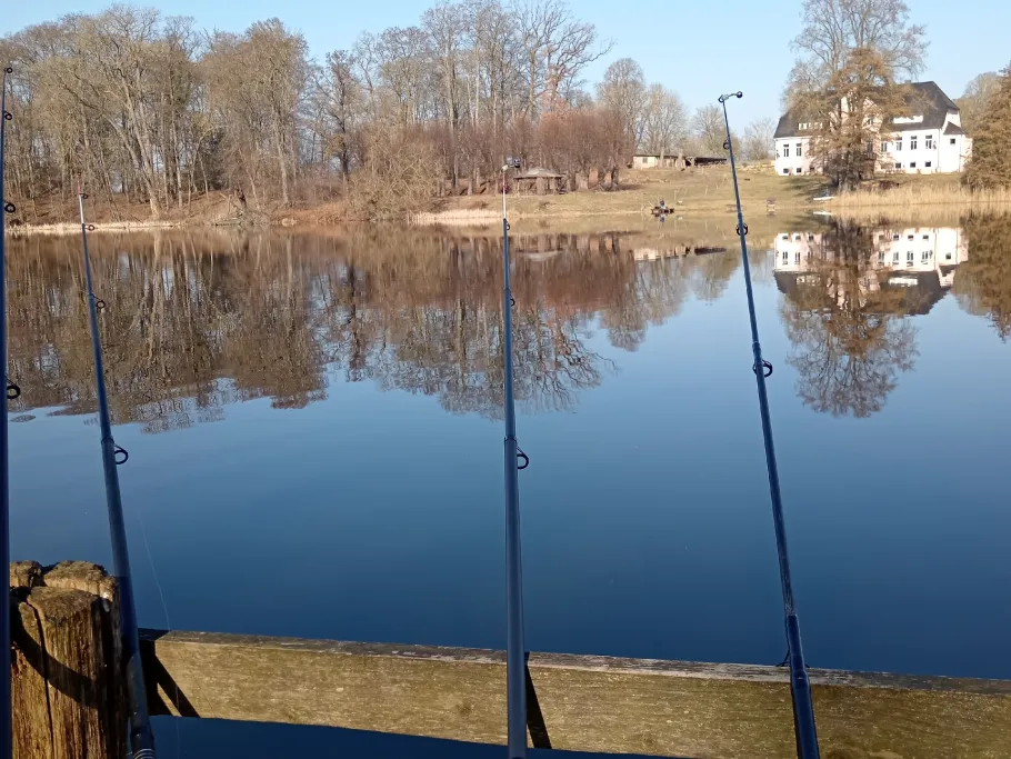 Hofsee (Gubkow) angeln