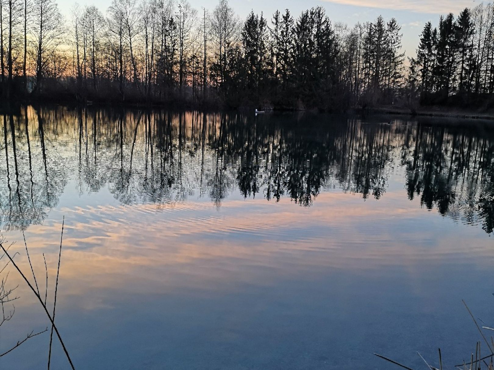 Kringweiher (Königsbrunn) angeln