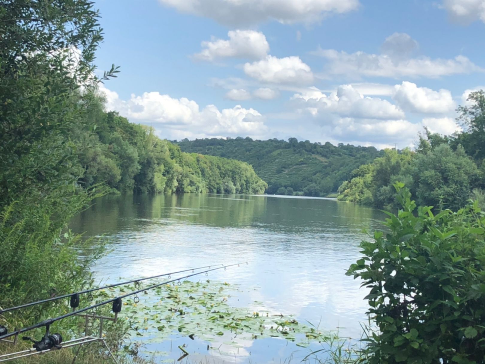 Neckar (Kirchheim-Gemmrigheim) angeln