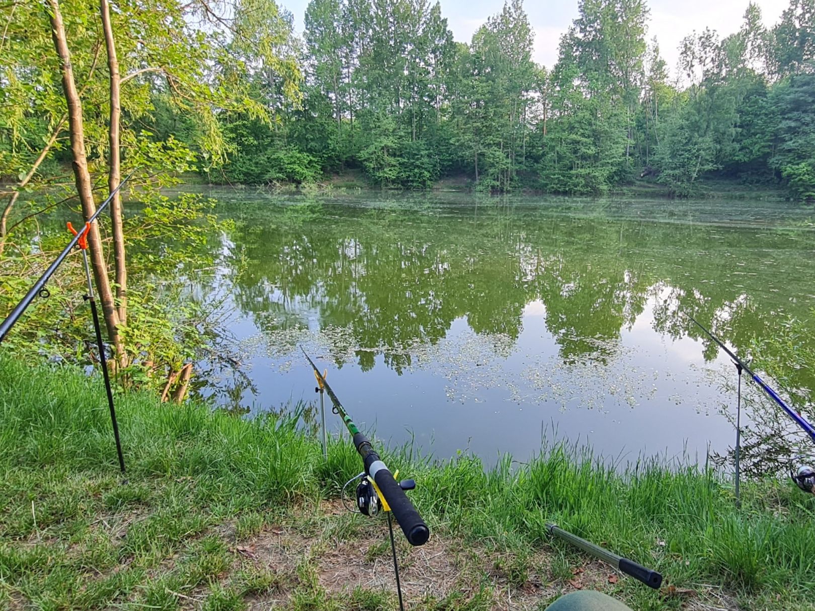 Baggersee Hohenesch angeln