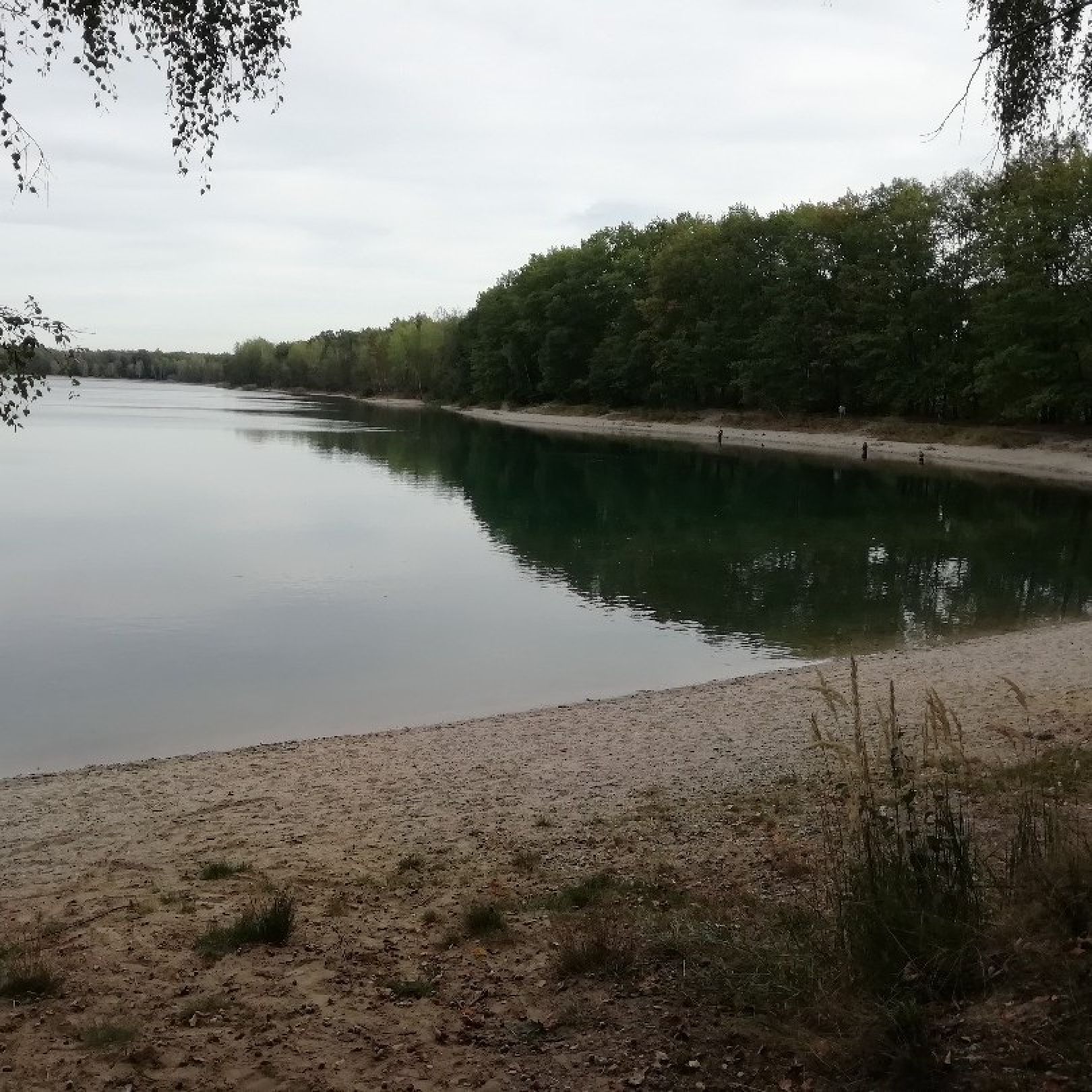 Ammelshainer See (Moritzsee) angeln