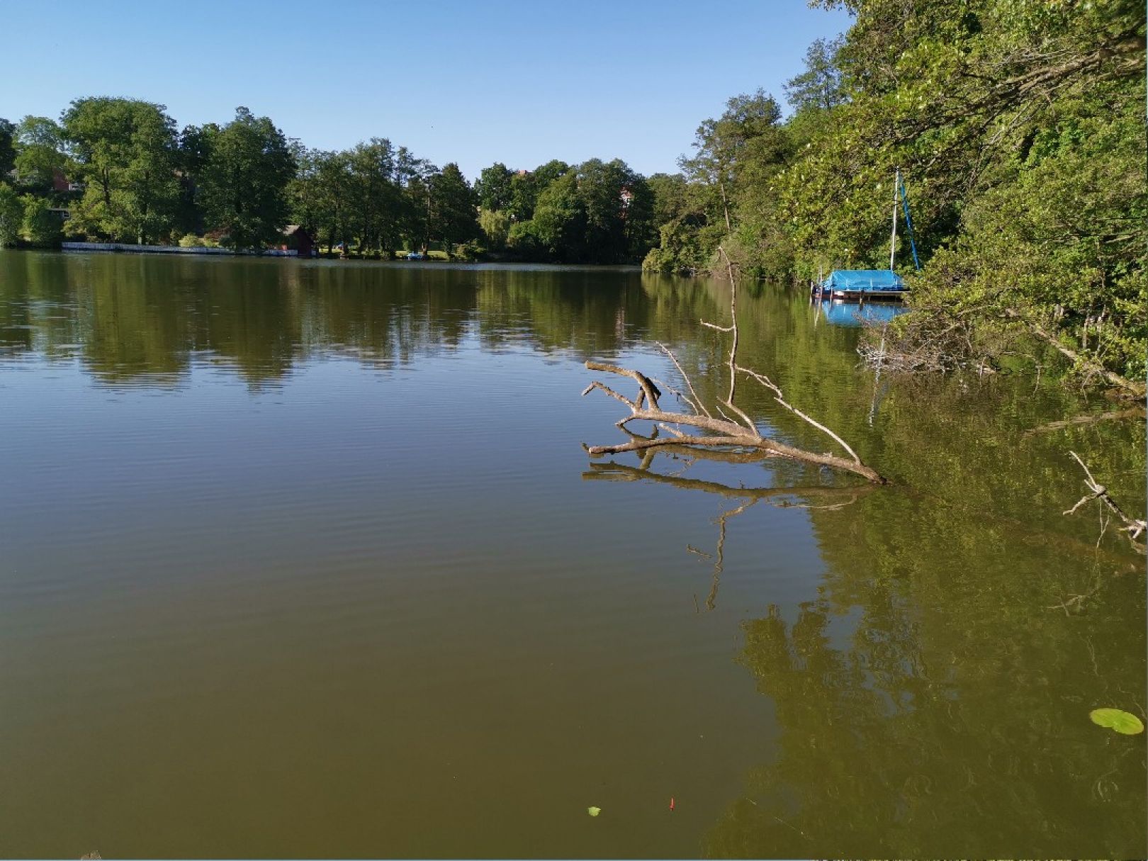 Templiner See (Templin) angeln
