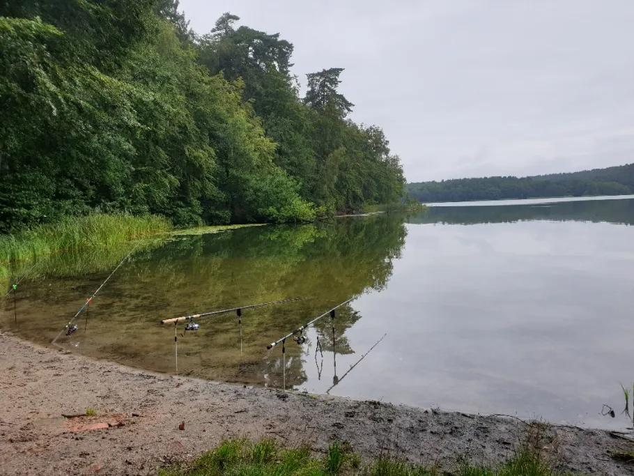 Lütauer See (Mölln) angeln