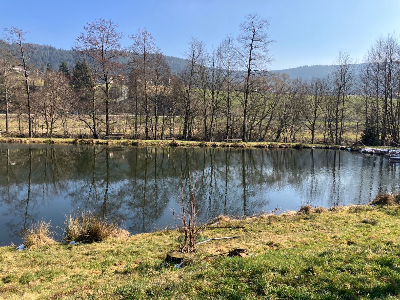 Sulzwiesensee (Baiersbronn) angeln