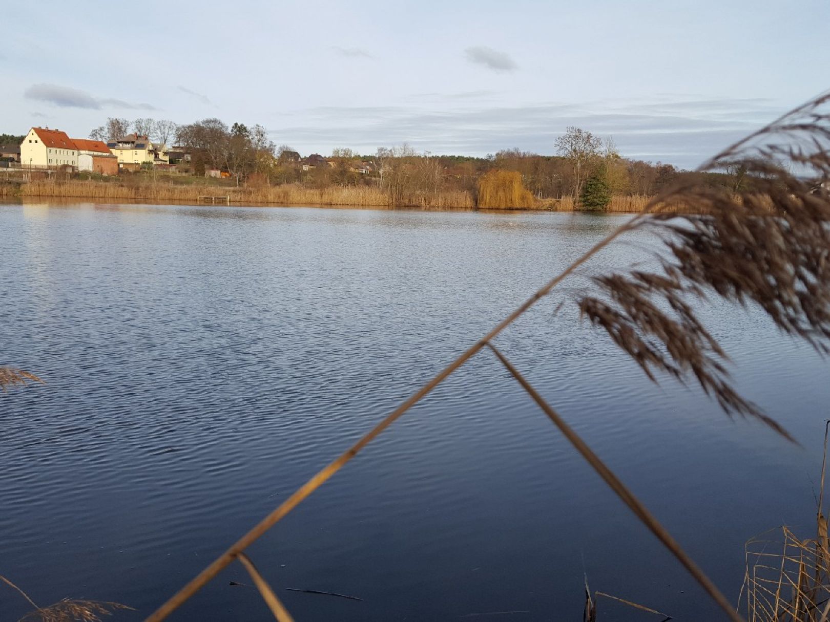 Zühlensee angeln