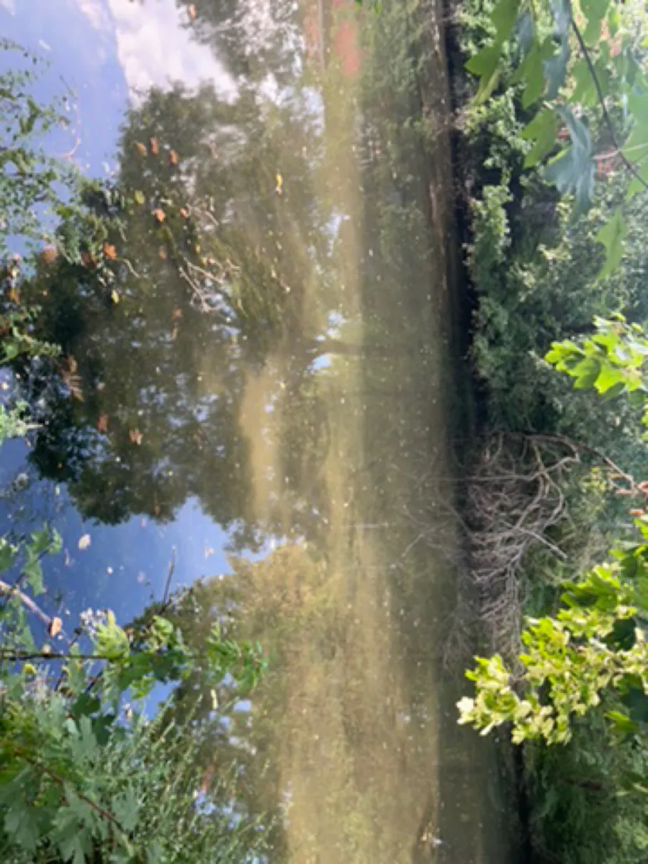 Kirchteich (Halle) angeln