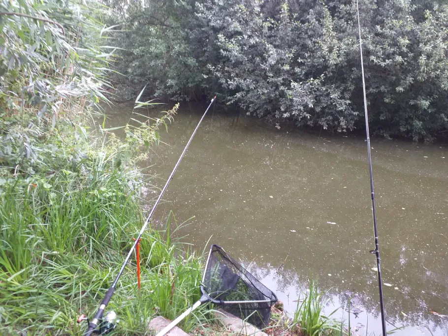 Mildenitz (Goldberg) angeln