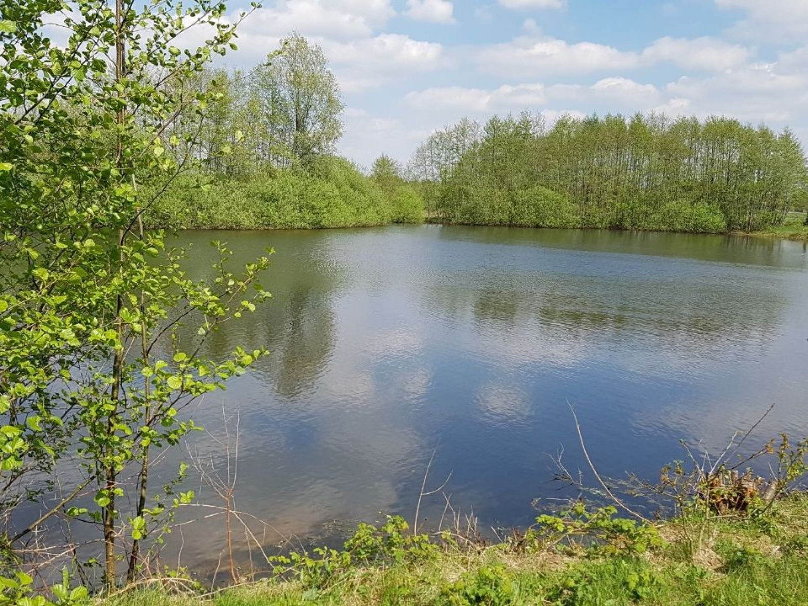 Teich am Kirchweg (Apen) angeln