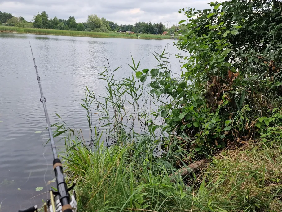 Neuhofer Stich angeln