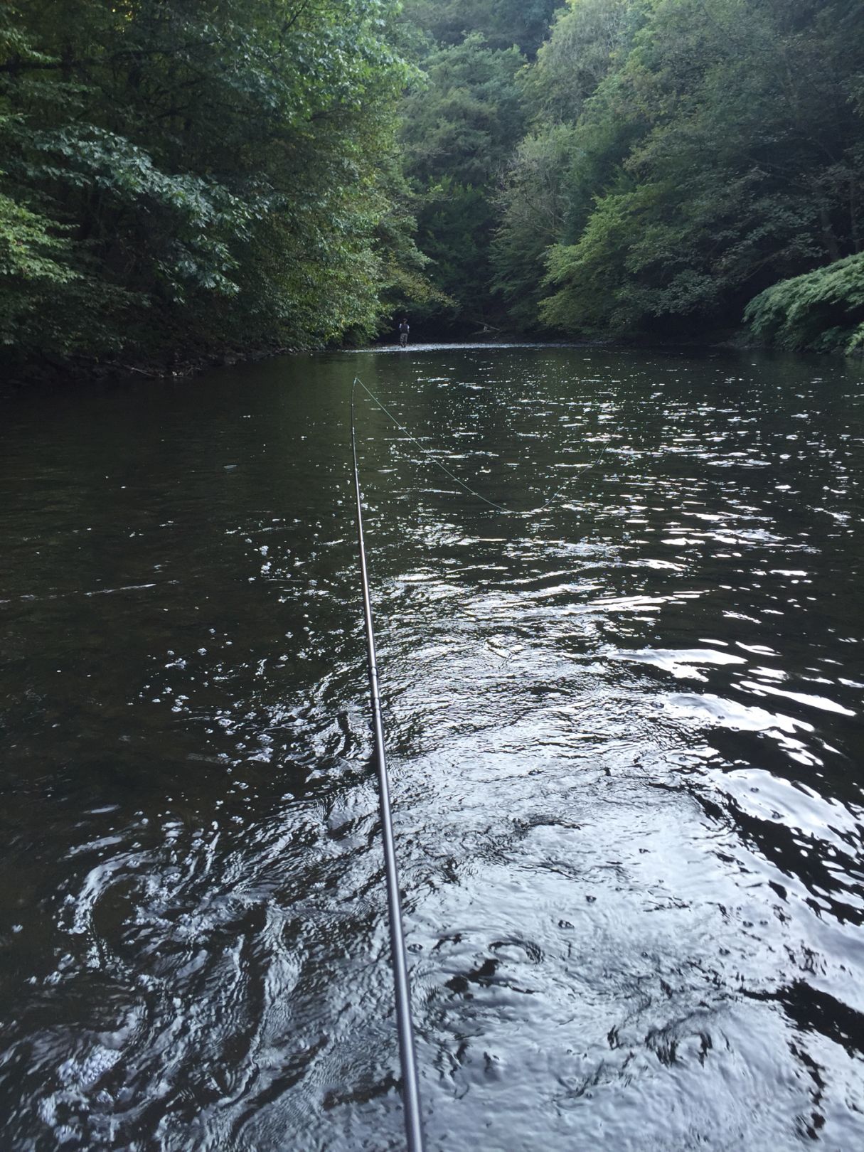 Wupper (Wuppertal) angeln