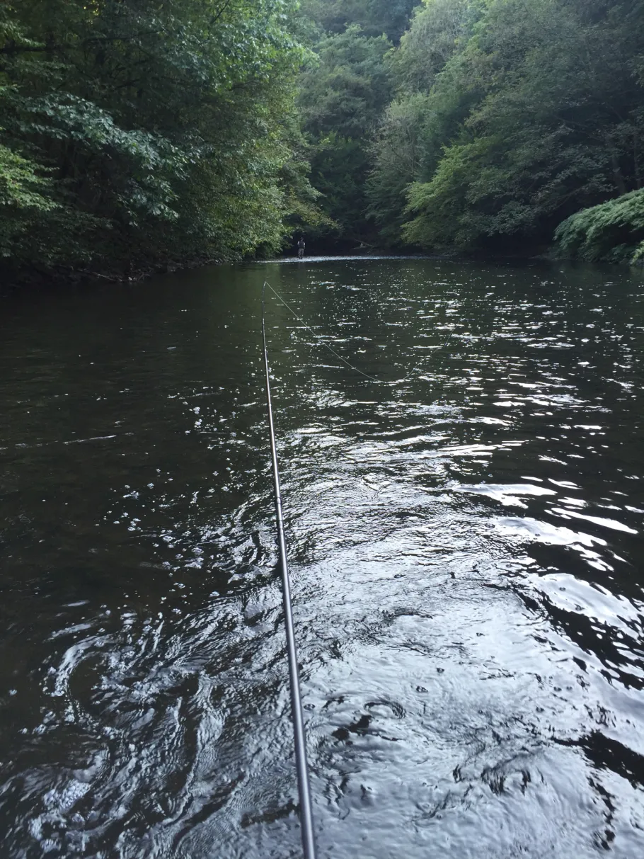 Wupper (Wuppertal) angeln