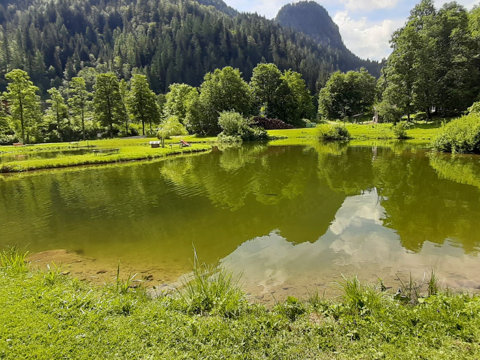 Fischteich Fürstenbrunn angeln