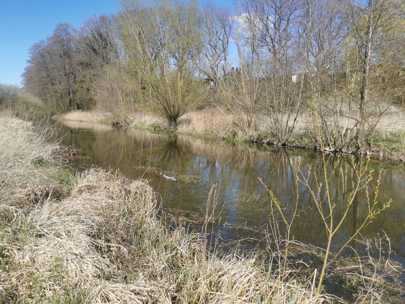 Angeln in Schackendorf