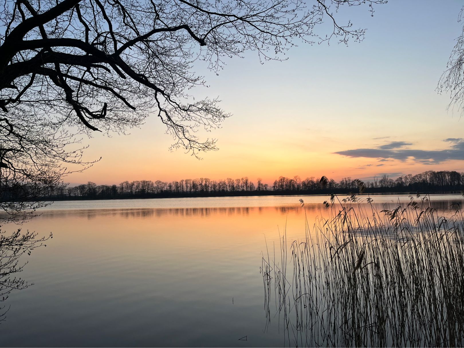 Angeln in Penzlin