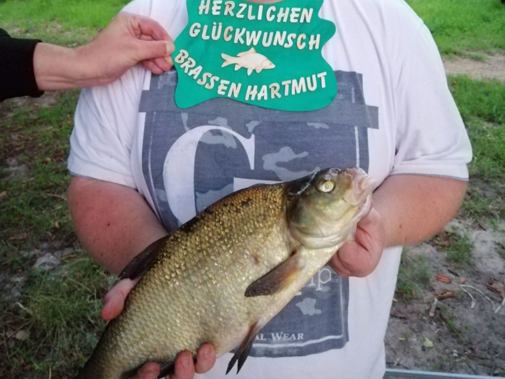 Großer Stadtsee (Penzlin) angeln