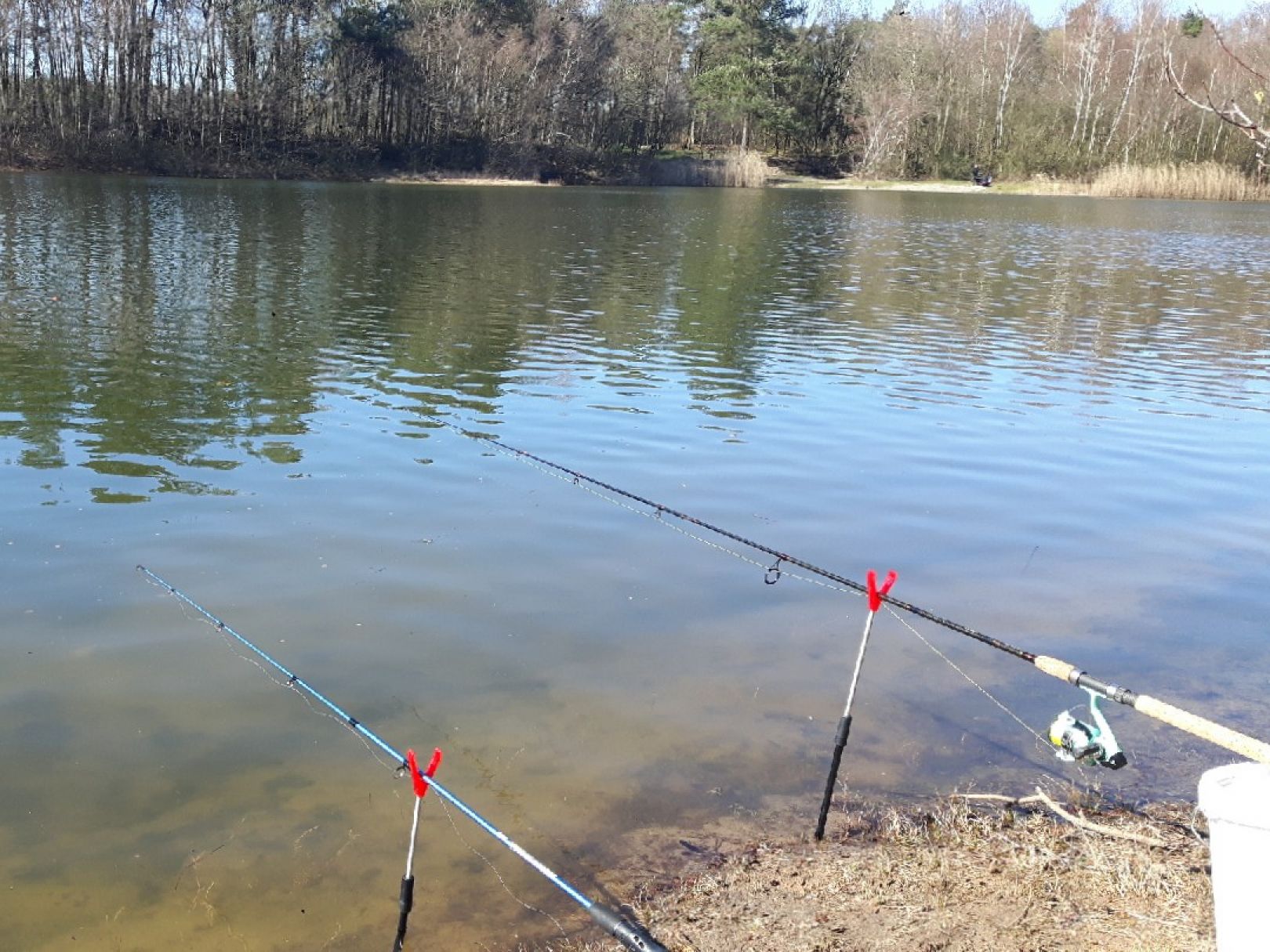 Kieferngrundsee (Steinfurt) angeln