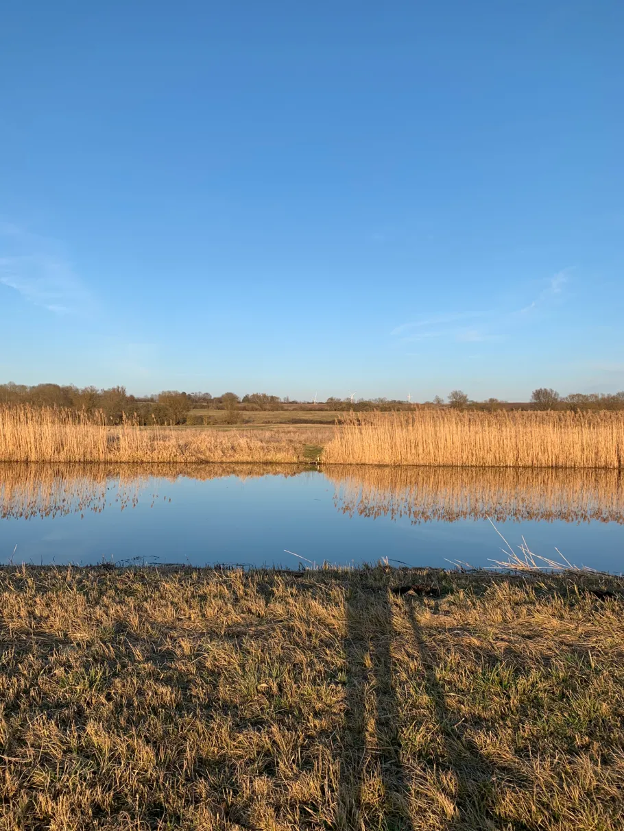 Tollense (Klempenow) angeln