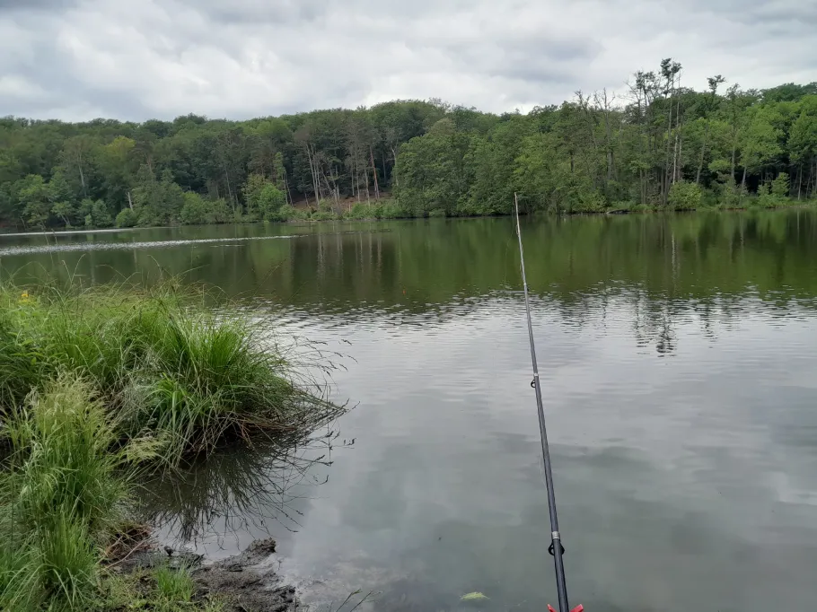 Kleiner Treppelsee angeln