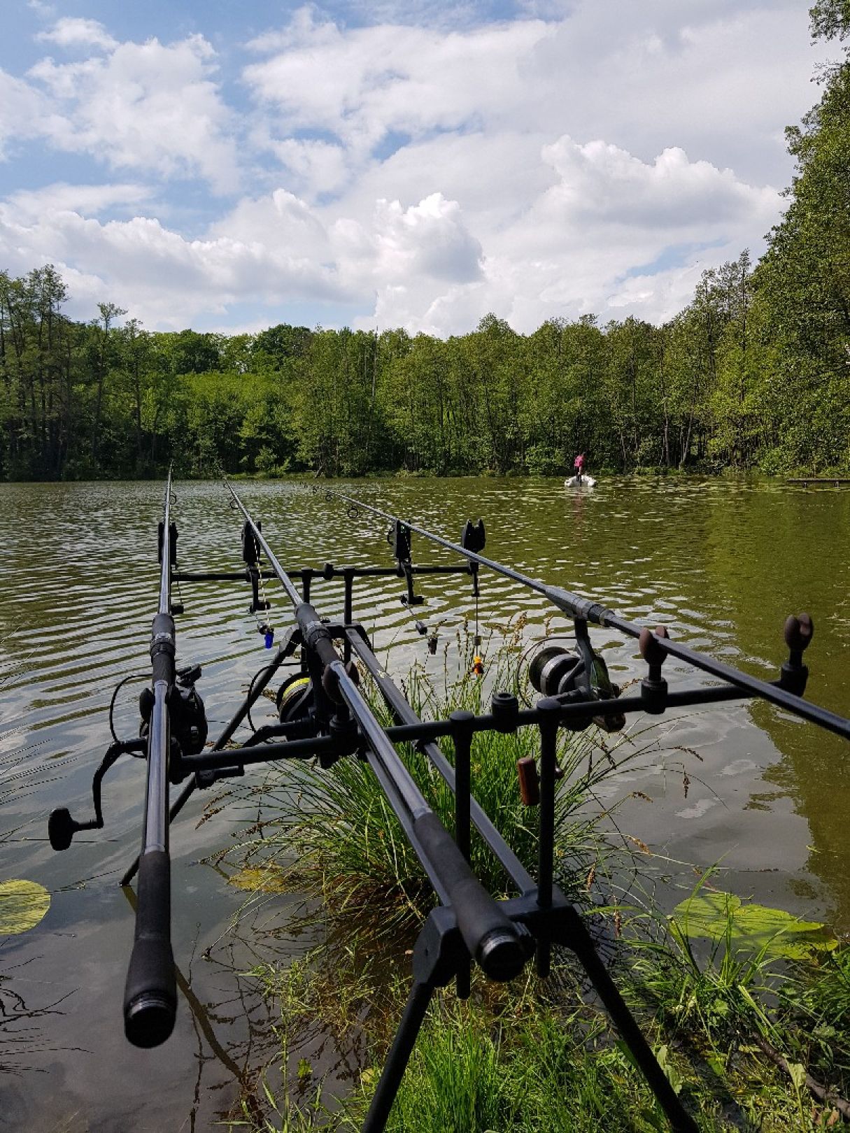 Kleiner Treppelsee angeln