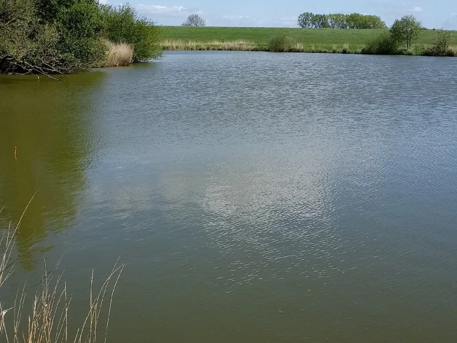 Krautsee (Rechtebe) angeln