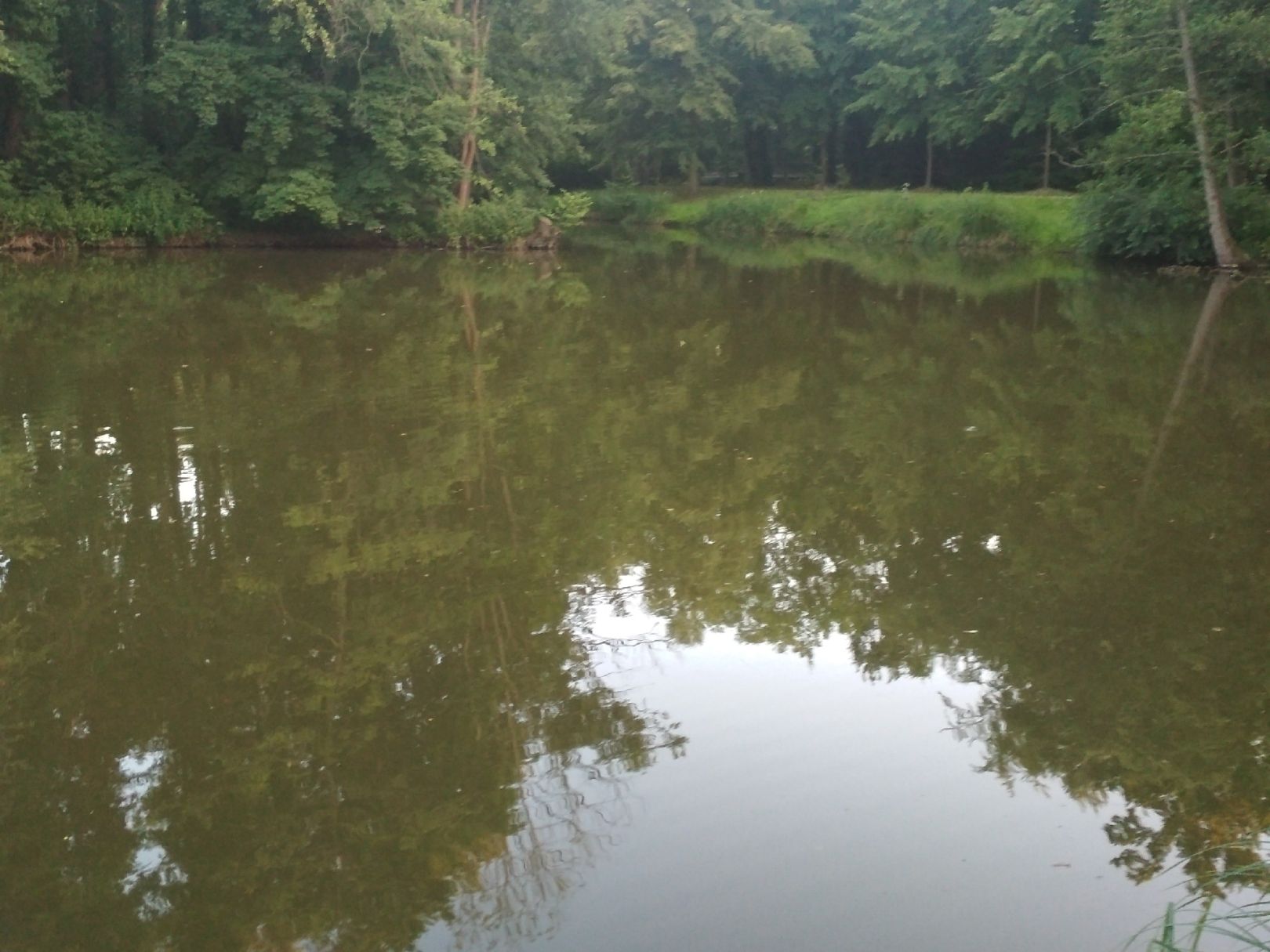 Parkteich Seerhausen angeln