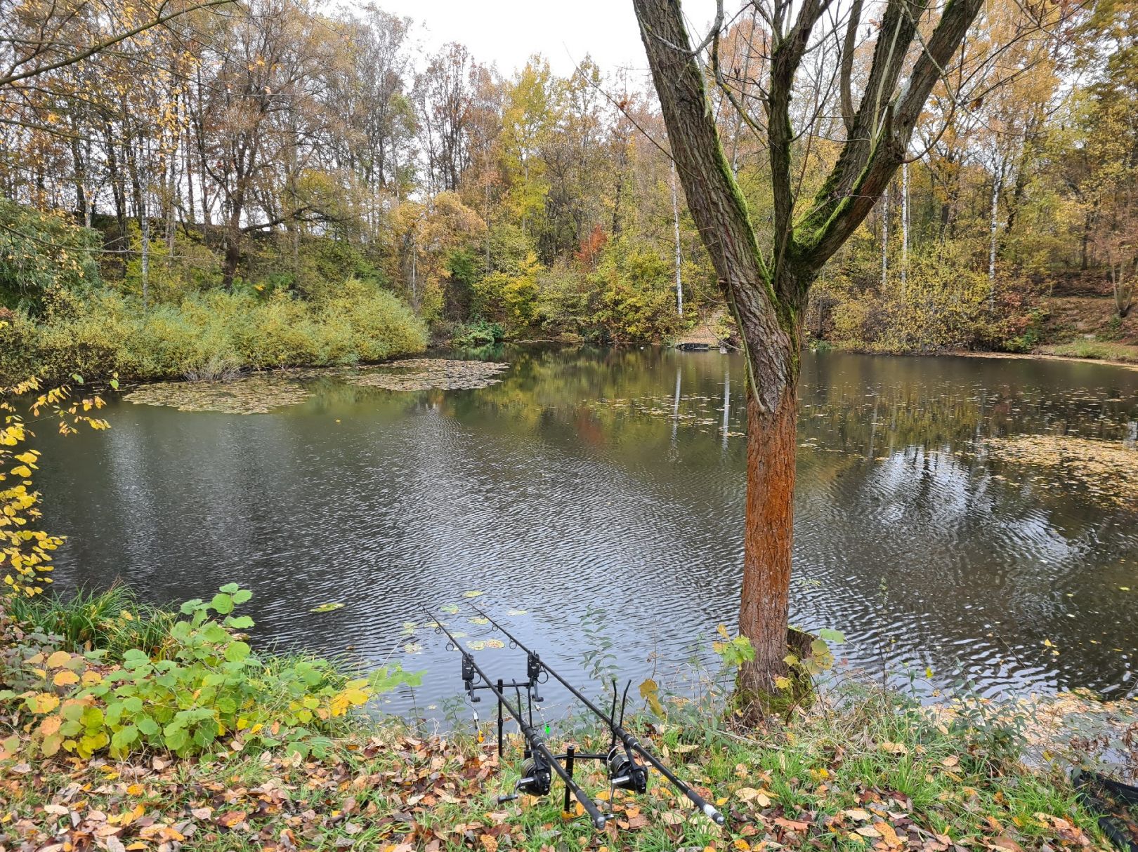 Lehmgrube Claußnitz angeln