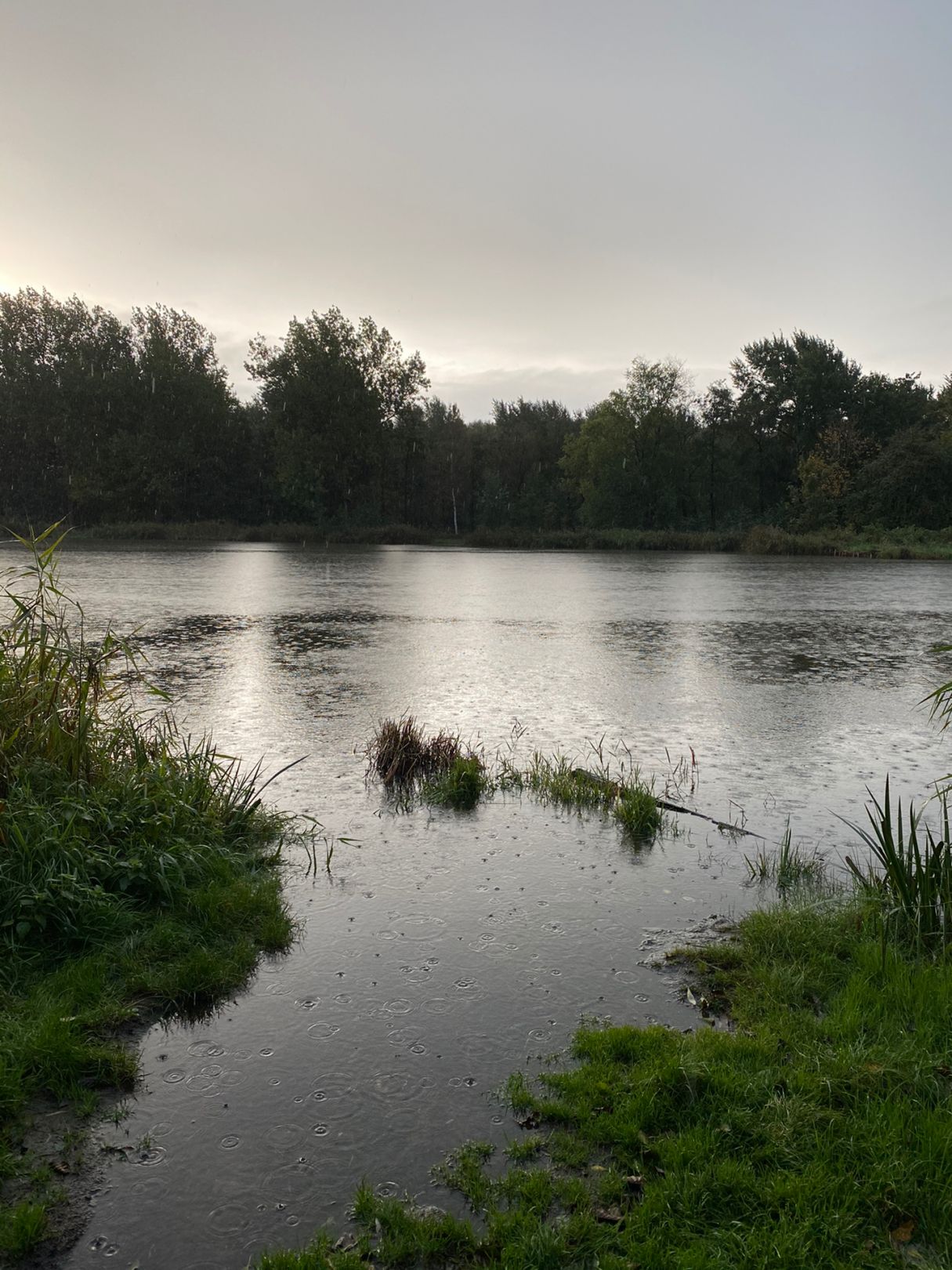 Angeln in Holstenniendorf