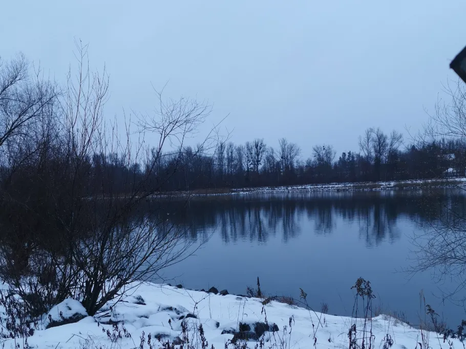 Inn (Neuhaus am Inn) angeln