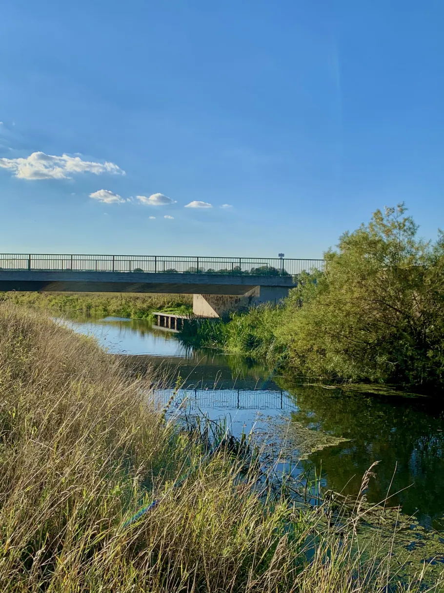 Aller (Everingen) angeln